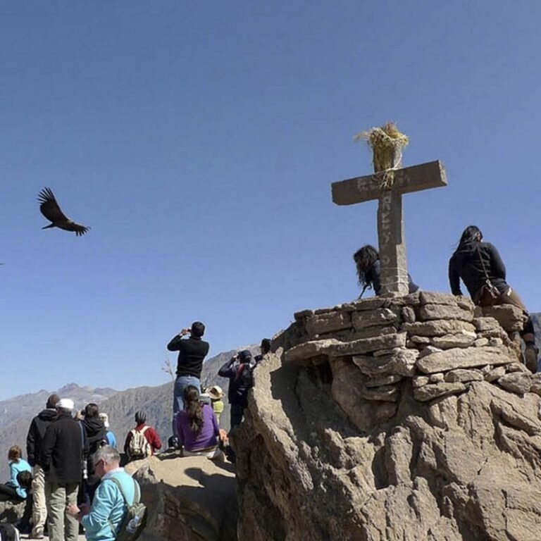 Cañón del Colca (5)