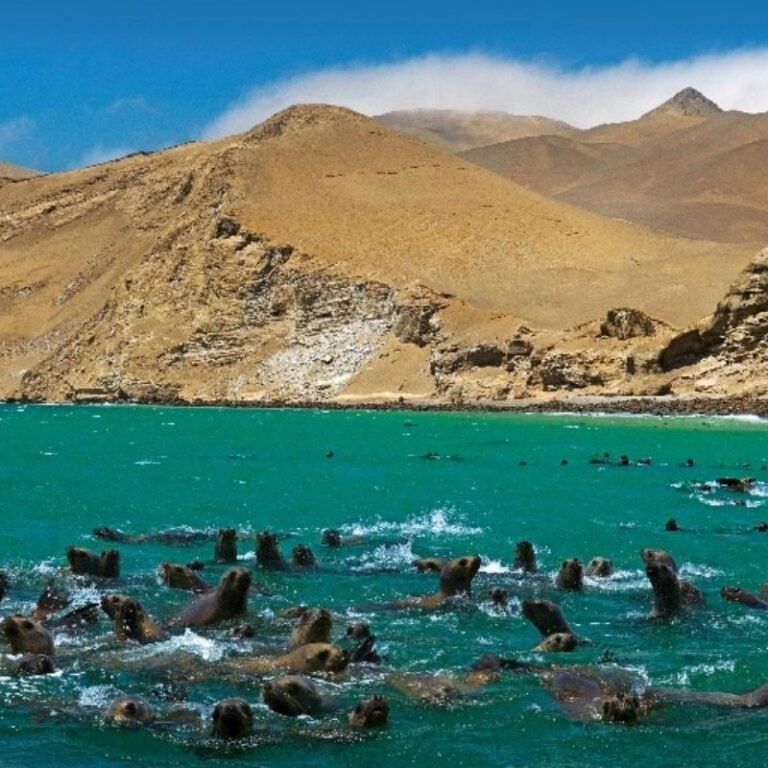 Tour Lima – Paracas – Ica – Nasca (2)