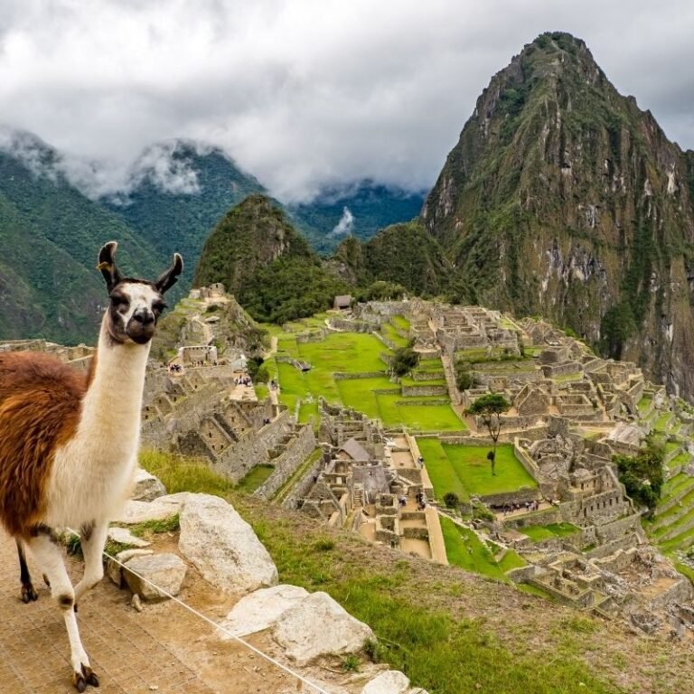 Tour Machu Picchu Full Day (6)