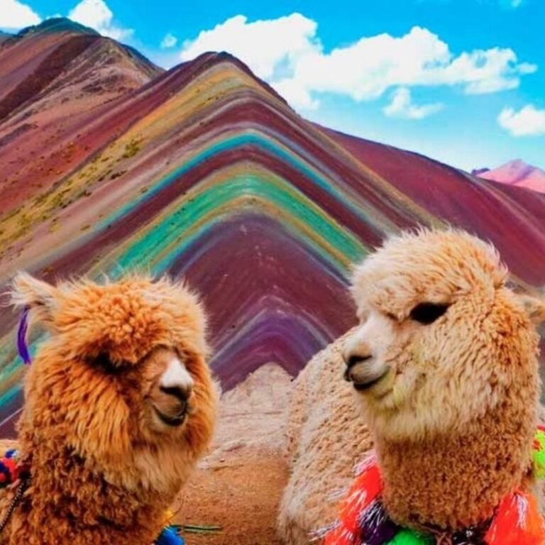 Tour Montaña 7 Colores (Vinicunca) Full Day
